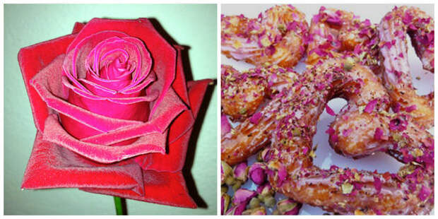 Красивая роза, цветок, фото автора. Сердечки с лепестками роз. Фото с сайта listofbest.ru