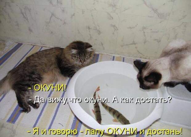 Забавности с надписями