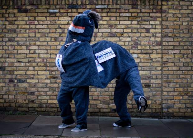 Веселая гонка лошадей London Pantomime Horse Race 2018