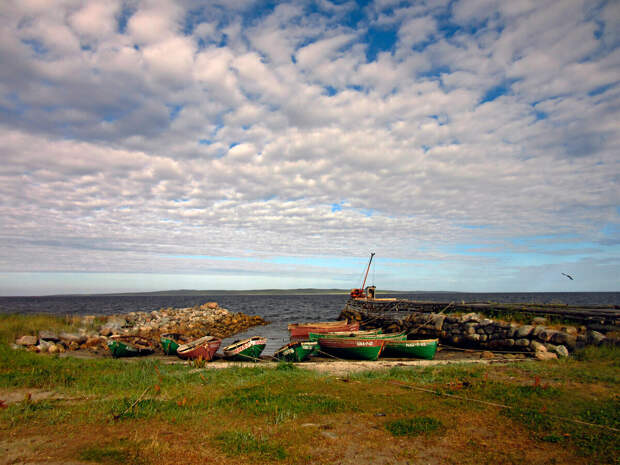 "Водорослевая" деревня Реболда. Как добывают съедобные водоросли на Соловецких островах в Белом море.