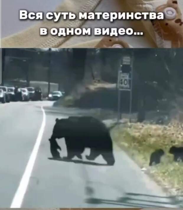 Она почувствовала неловкость перед водителеми