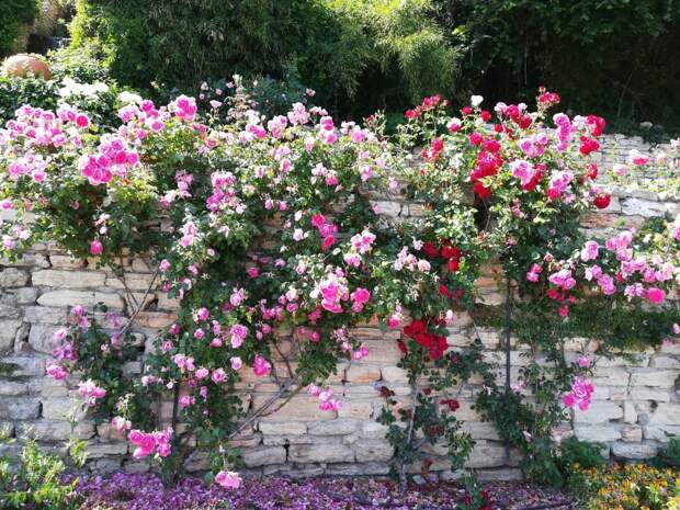 Фото: Анна Попкова