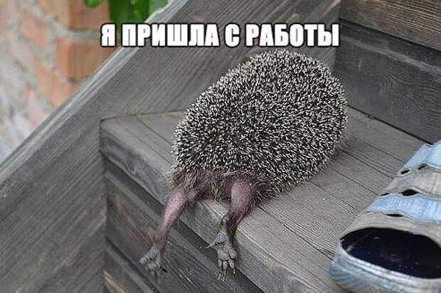 Подборка классных демотиваторов № 67