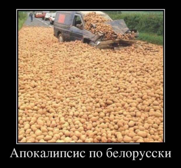 Обо всём.