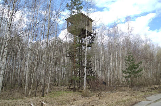 Поехали за грибами, а нашли следы применения неведомого по мощности оружия. drive2, не мое, оффроуд, путешествия, Сталкинг, длиннопост