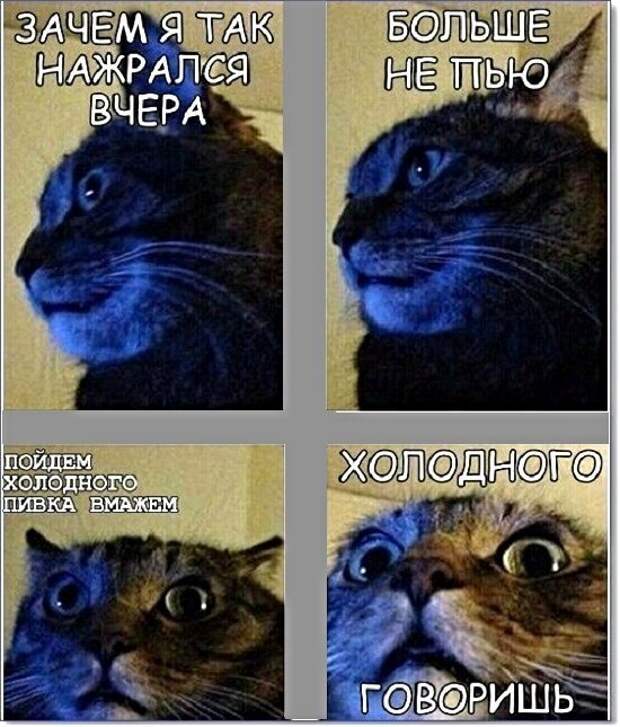 Алкопост Алкопост