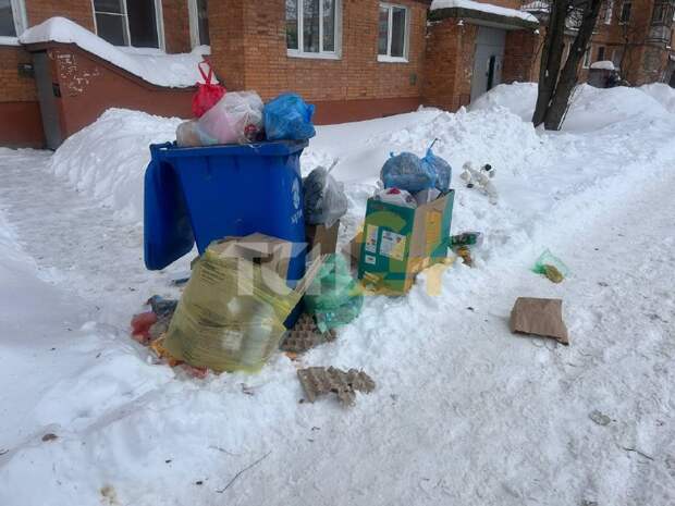 Жители пожаловались, что по всей Туле наблюдаются проблемы с вывозом мусора