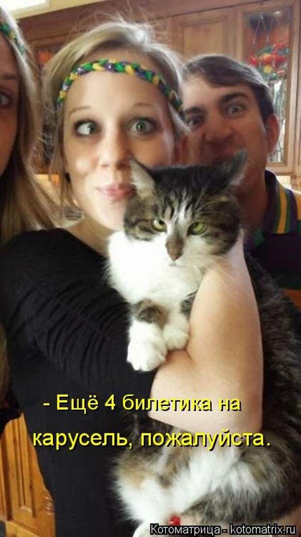 Свежая котоматрица на Бугаге (27 фото)
