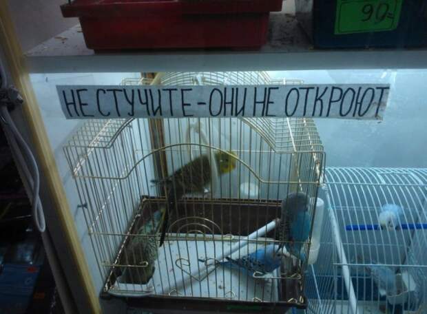 Народный креатив
