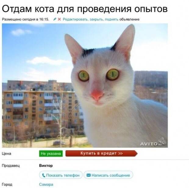 Гении рекламы на avito реклама, юмор, авито