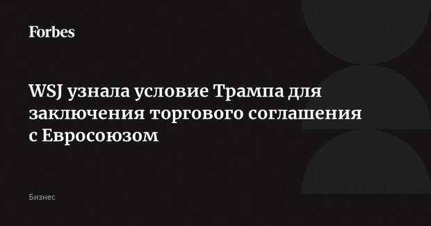 WSJ узнала условие Трампа для заключения торгового соглашения с Евросоюзом