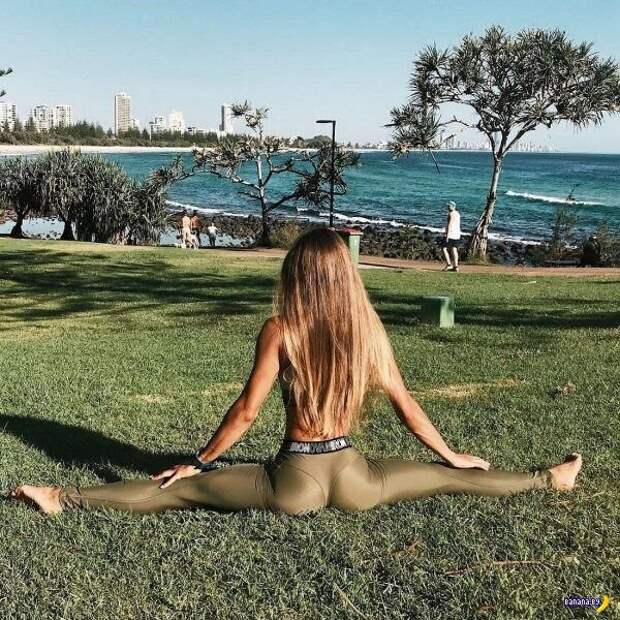 Не треники, а Yoga Pants! - 2 Не треники, а Yoga Pants! - 2
