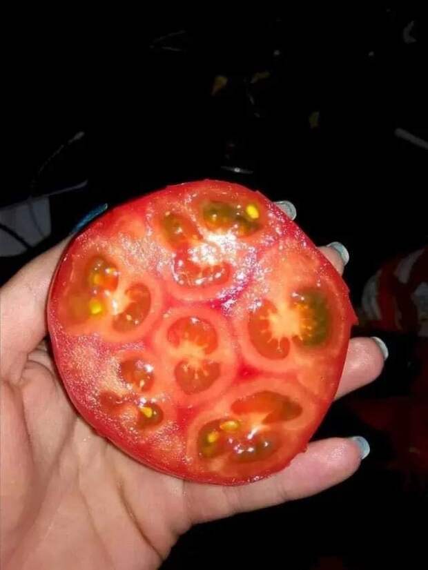 Разные необычные вещи и явления, которые нечасто увидишь