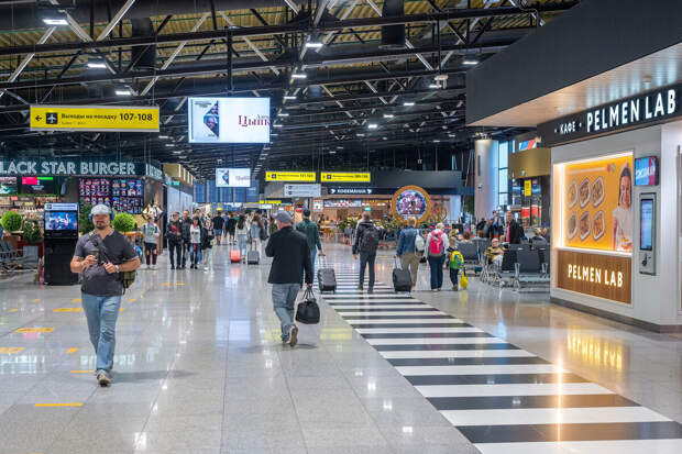 В Подмосковье будут судить мужчину, ударившего ребенка о пол в аэропорту