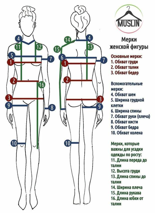 Простые, но практичные шпаргалки о человеческом теле Простые, но практичные шпаргалки о человеческом теле измерения, интересное, мерки, подсказки, тело, факт, человек, шпаргалки