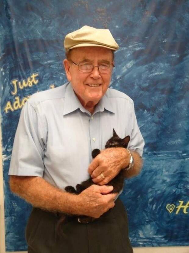 Котики