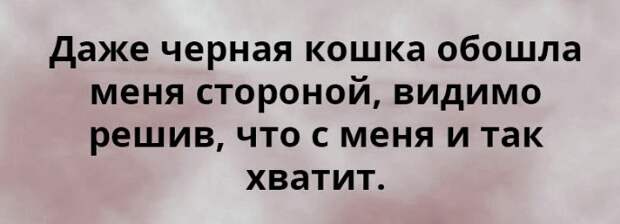 20 Открыток С Неподражаемым Сарказмом