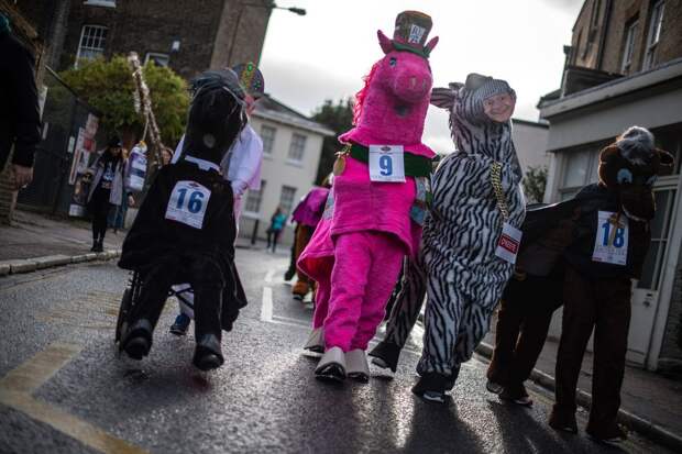 Веселая гонка лошадей London Pantomime Horse Race 2018