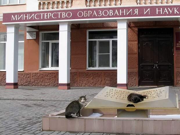 Прикольные картинки прикол, фото, юмор
