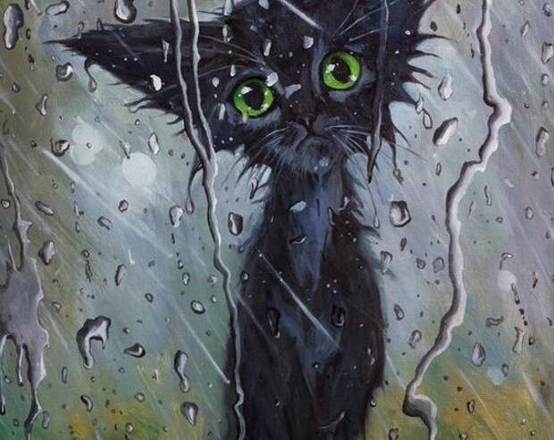 Котенок и дождь