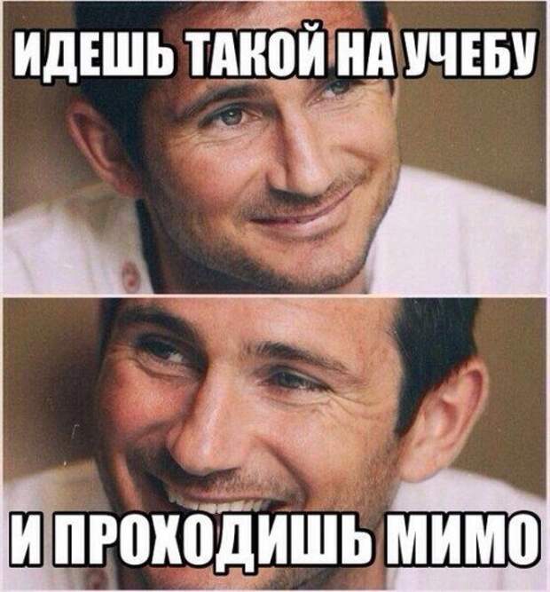 Самые прикольные картинки