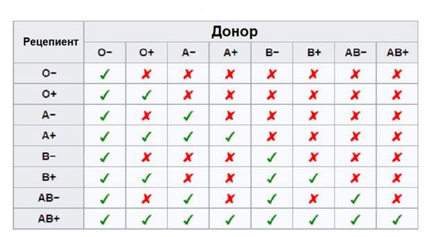 таблица совместимости крови