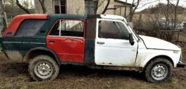 Приезжайте к нам в колхоз - куры, дуры и навоз