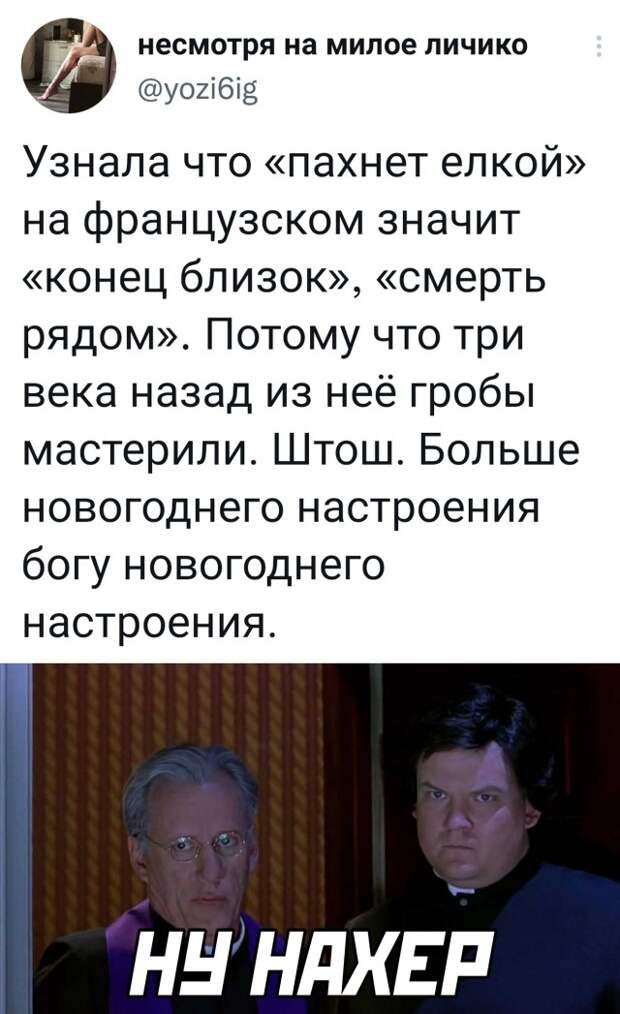 Смешные картинки 24 декабря 2021 года