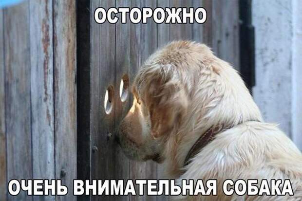 Картинки по запросу фото снадписью