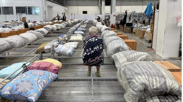 Меркачева: Хинштейн готов поехать в ПВР из-за жалоб беженцев на издевательства