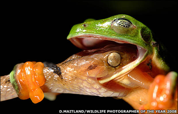 Просто Фото