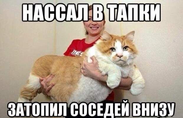 Фразы в картинках. Супер!