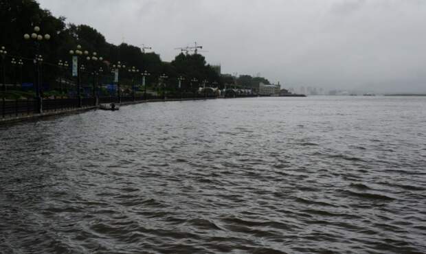 Уровень воды в Амуре близ Хабаровска приближается к 300 см Уровень воды в Амуре близ Хабаровска приближается к 300 см