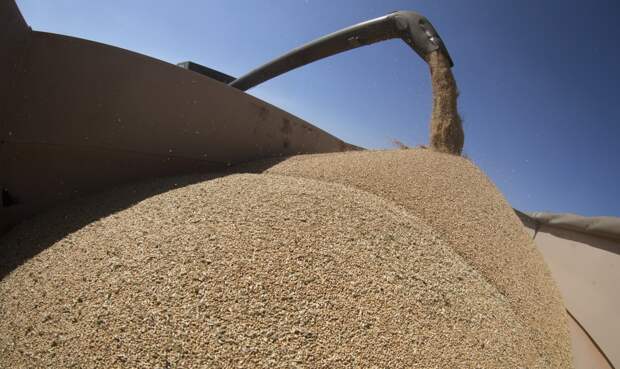 Почему Литва возобновила закупки зерна у России: Слуцкий дал простой ответ