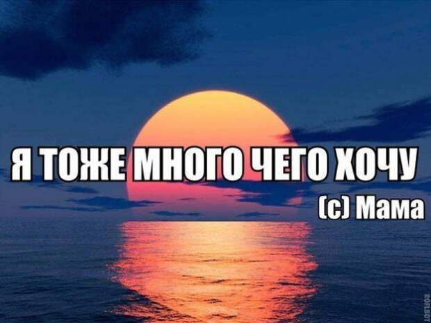 smeshnie_kartinki_141322160252 (600x450, 167Kb)