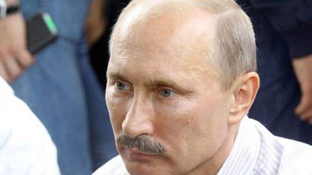 putin12 Необычный сайт фанатов Путина с усами