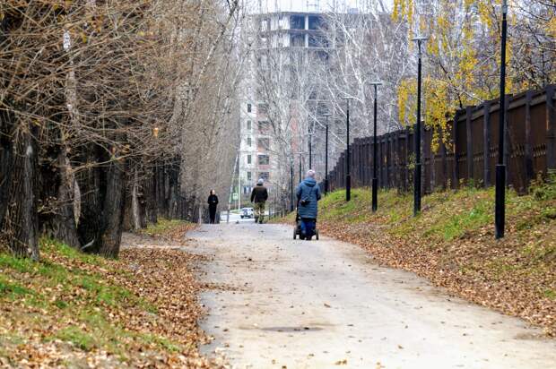 Парк лисихинский иркутск