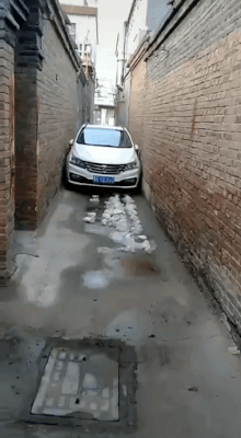 Прикольные гифки