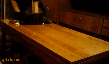 Кототерапия. Огромная порция позитива!