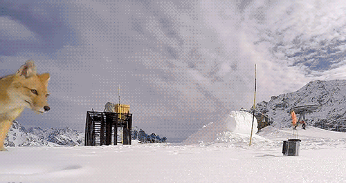 Подборка прикольных Гифок №605 (15 гифок)