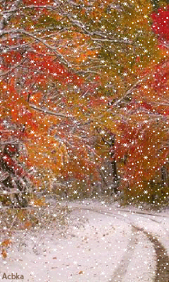 Падает снег на пляж и кружатся листья. Осенний листопад со снегом. Поздняя осень анимация. Первый снег анимация. Падает снег осенью.