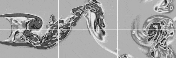 В потоке. Как губка проживает на дне океана