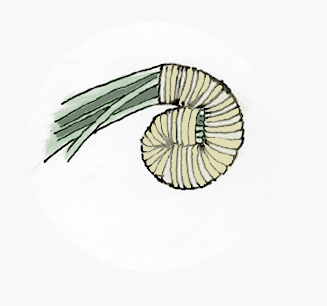 image-3 (327x306, 28Kb)