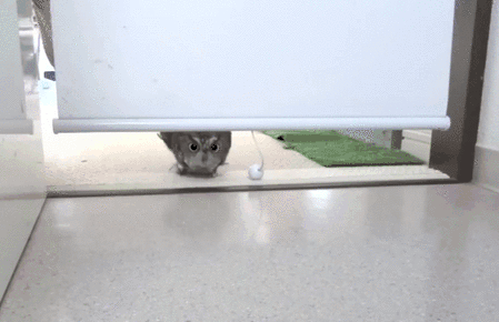 Too Late GIF