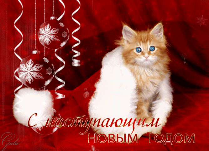 http://pozdravushka.ru/_ph/6/2/215948340.gif?1419336983