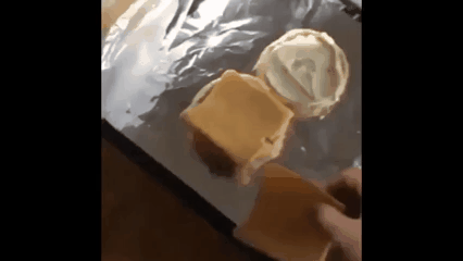 Отличие собаки от кота Отличие собаки от кота