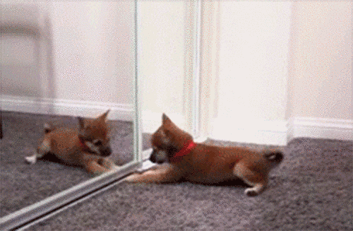 clip_image015