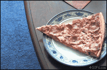 Животные воришки