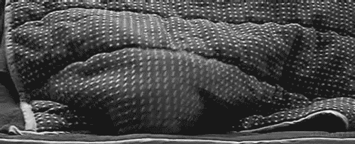 4427311_80835885_5 (500x203, 483Kb)