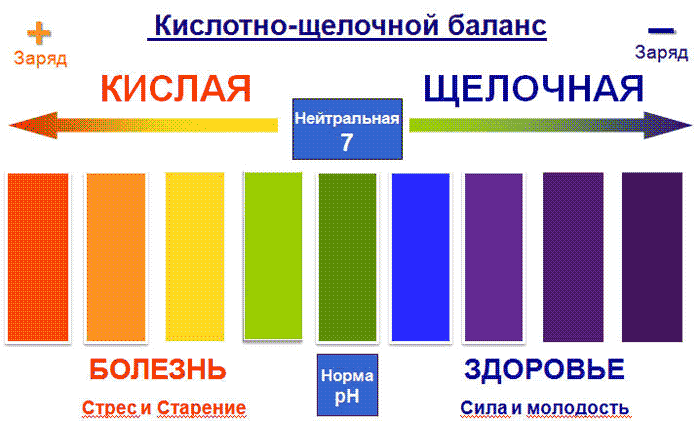 Кислотно-щелочной баланс - основа здоровья - Про питание - Мой Московский
